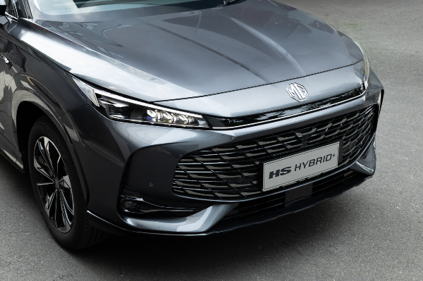 mg hs